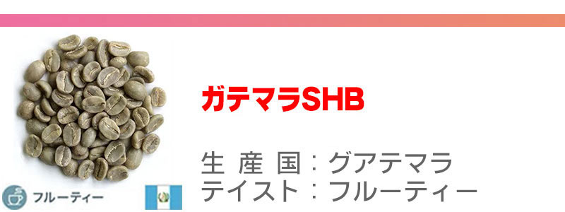 ガテマラSHB
