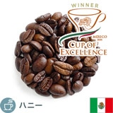 限定品 COE2025 Exp. メキシコ コラヘ