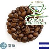 ����i COE2025 E.V �z���W�����X ���X �G���}�m�X