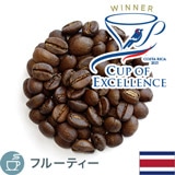 ����i COE2025 Exp. �R�X�^���J ���X �s�m�X