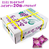 ASt[Y ʏ`100[[ Ԃǂ 20 pE`^Cv ~j`ABOX