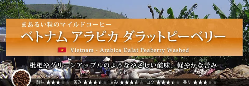 �x�g�i�� �A���r�J �_���b�g�s�[�x���[ 