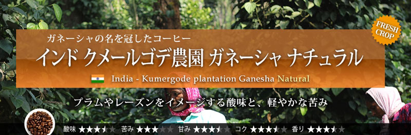 インド クメールゴデ農園