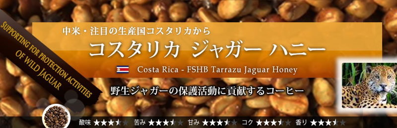 �R�X�^���J �W���K�[ �n�j�[ 