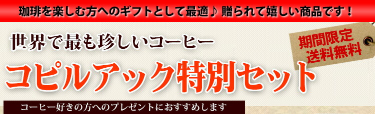 yRsAbNLjX^[tz i X}g A`F RsAbNZbg