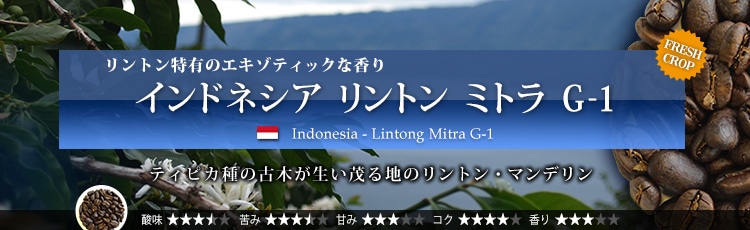 ChlVA g ~g G-1 - Indonesia Lintong Mitra G-1