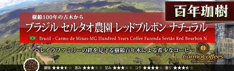 �u���W�� �S�N�ێ� �Z���^�I�_�� ���b�h�u���{�� �i�`������ - Brazil Carmo de Minas MG Hundred Years Coffee Fazenda Serto Red Bourbon Natural